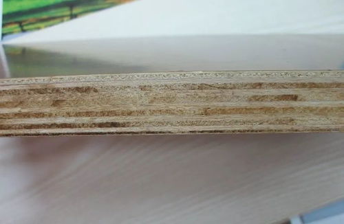 揭開定制家具板材的神秘面紗